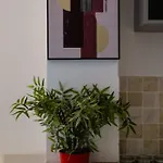 Sevastopol Four Bedroom House Near Gloucester Road *